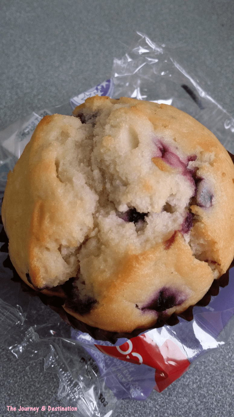 blueberry-muffin-2