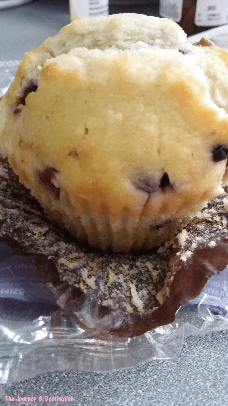 blueberry-muffin-3