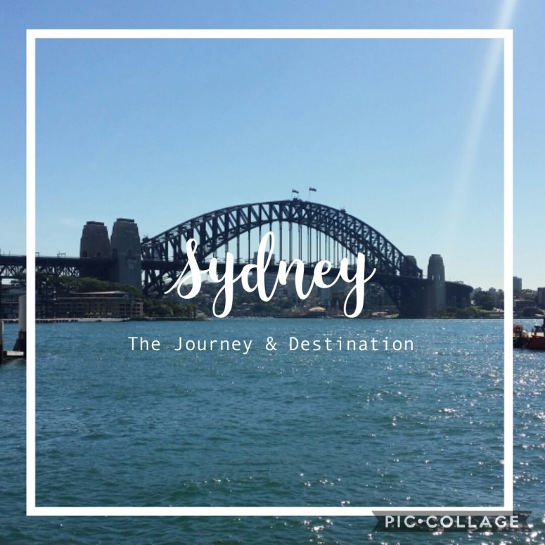 COPY Collage 2017-11-19 19_07_54